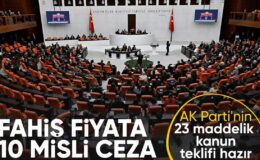 Fahiş fiyat ve stokçuluğa ağır cezalar getiren yasa teklifi Meclis’te görüşülecek