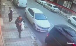 İstanbul’da konutun camından kedi çaldılar