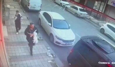İstanbul’da konutun camından kedi çaldılar