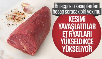Kırmızı ette bayram öncesi kesim yavaşladıkça fiyatlar artıyor
